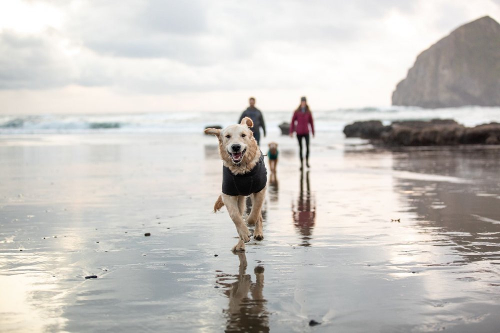 Ruffwear Fernie™ Svetr/Bunda pro psy Šedá XS