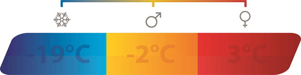 Spací pytel Outwell Pine Lux (obrázek 18)