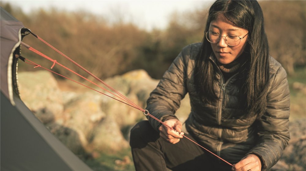 Stan Nordic Lynx 3 (obrázek 8)