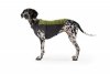 Sveter Ruffwear Climate Changer™ pre psov - Farba: Zelená, Veľkosť: L