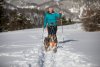 Ruffwear Omnijore™ Postroje pro psy - Barva: Oranžová, Velikost: S
