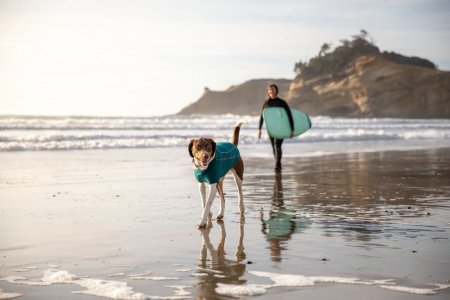 Ruffwear Fernie™ Svetr/Bunda pro psy