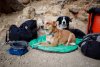 Ruffwear Knot-a-Collar™ Obojek pro psy - Barva: Červená, Velikost obojku: 20-26"