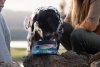 Ruffwear Artist Series Quencher™ Cestovní miska pro psy - Barva: Červená