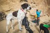 Ruffwear Knot-a-Collar™ Obojek pro psy - Barva: Červená, Velikost obojku: 20-26"