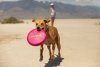 Ruffwear Camp Flyer™ Lehký flexibilní disk