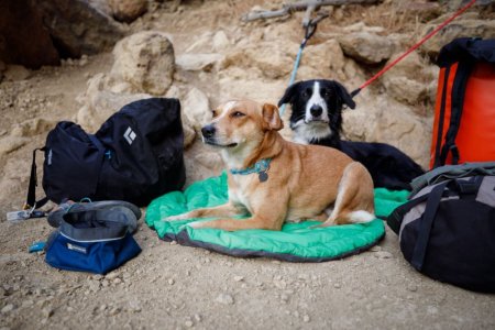 Ruffwear Knot-a-Collar™ Obojek pro psy - Barva: Červená, Velikost obojku: 20-26"