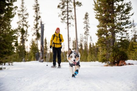 Ruffwear Polar Trex™ Zimní obuv pro psy - Velikost: S
