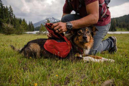 Ruffwear Quencher™ Cestovní miska pro psy - Barva: Modrá, Velikost: L