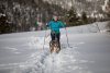 Ruffwear Omnijore™ Postroje pro psy - Barva: Oranžová, Velikost: S