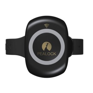 Pealock – elektronický zámek