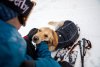 Ruffwear Cloud Chaser™ Soft Shell bunda pro psy