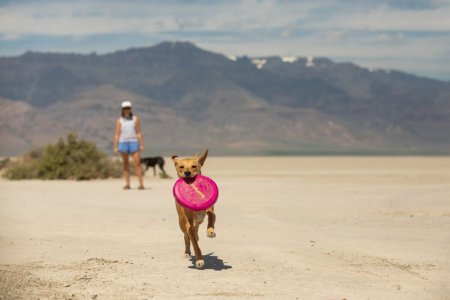 Ruffwear Camp Flyer™ Lehký flexibilní disk
