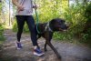 Ruffwear Web Reaction™ Obojek pro psy - Barva: Šedá, Velikost obojku: 20-23"