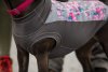 Ruffwear Climate Changer™ Svetr pro psy - Barva: Zelená, Velikost: L