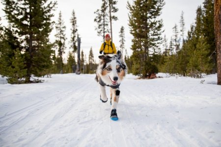 Ruffwear Polar Trex™ Zimní obuv pro psy - Velikost: S