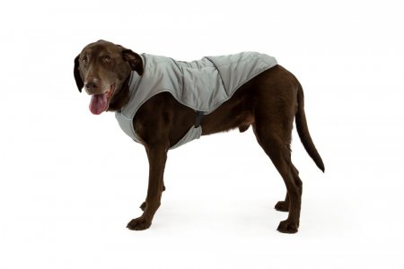 Quinzee™ Nepromokavá bunda pro psy - Barva: Modrá, Velikost: S