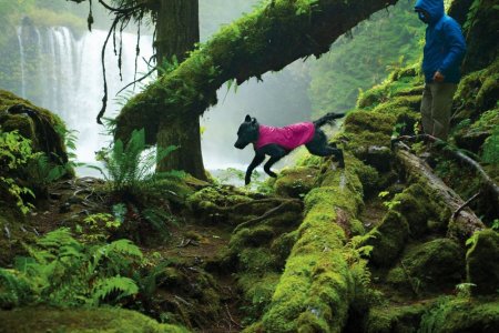 Ruffwear Sun Shower™ Bunda do deště pro psy - Barva: Modrá, Zelená, Velikost: XL