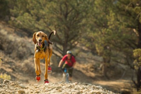 Ruffwear Grip Trex™ Outdoorová obuv pro psy - Barva: Černá, Velikost: XXXS