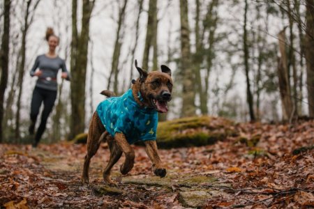 Ruffwear Climate Changer™ Fleecová bunda pro psy - Barva: Modrá, Zelená, Velikost: S