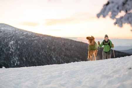 Ruffwear Powder Hound™ Zimní bunda pro psy