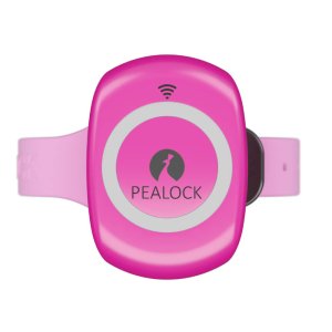 Pealock – elektronický zámek