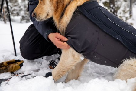 Ruffwear Cloud Chaser™ Soft Shell bunda pro psy