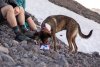 Ruffwear Artist Series Quencher™ Cestovní miska pro psy - Barva: Červená