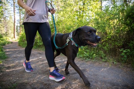 Ruffwear Web Reaction™ Obojek pro psy - Barva: Šedá, Velikost obojku: 20-23"