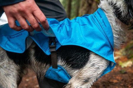 Ruffwear Sun Shower™ Bunda do deště pro psy - Barva: Modrá, Zelená, Velikost: XL