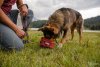Ruffwear Quencher™ Cestovní miska pro psy - Barva: Modrá, Velikost: L