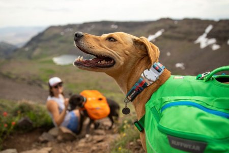 Ruffwear Top Rope™ Obojek pro psy