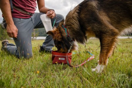 Ruffwear Quencher™ Cestovní miska pro psy - Barva: Modrá, Velikost: L