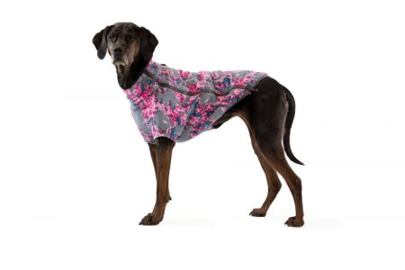Ruffwear Climate Changer™ Fleecová bunda pro psy - Barva: Modrá, Zelená, Velikost: S