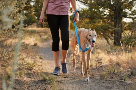 Ruffwear Web Reaction™ Obojek pro psy - Barva: Šedá, Velikost obojku: 20-23"