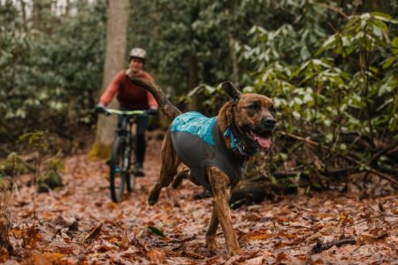 Ruffwear Climate Changer™ Svetr pro psy - Barva: Zelená, Velikost: L
