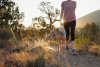 Ruffwear Web Reaction™ Obojek pro psy - Barva: Šedá, Velikost obojku: 20-23"