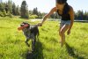 Ruffwear Gourdo™ Odolná hračka z přírodního latexového kaučuku - Barva: Modrá, Velikost: S