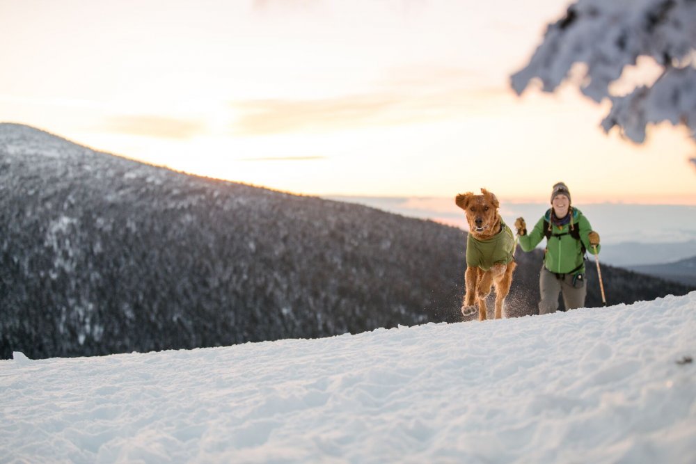 Ruffwear Powder Hound™ Zimní bunda pro psy Modrá S (obrázek 12)