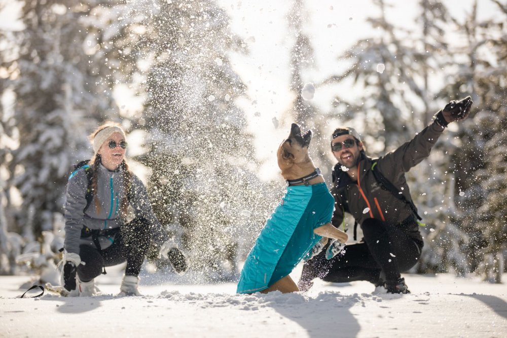 Ruffwear Powder Hound™ Zimní bunda pro psy Modrá S (obrázek 8)
