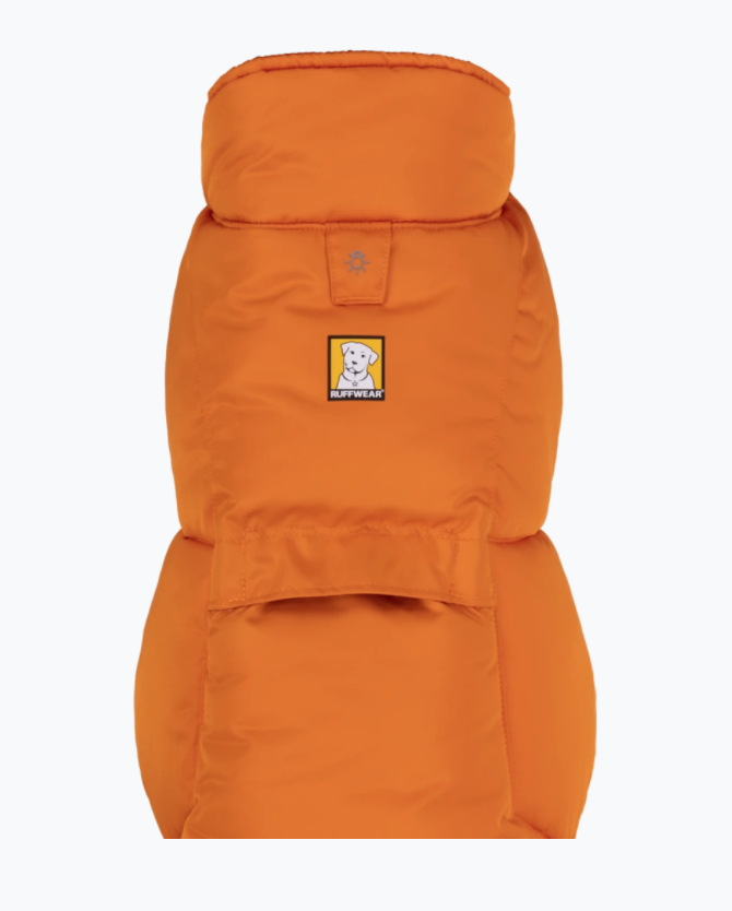 Quinzee™ Nepromokavá bunda pro psy Modrá XS