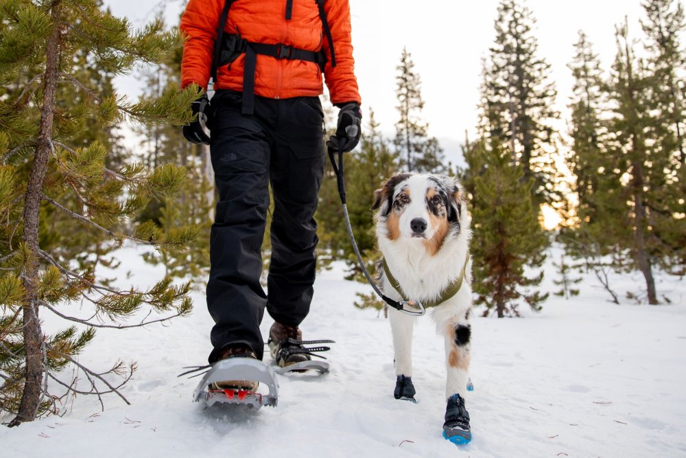 Ruffwear Polar Trex™ Zimní obuv pro psy L